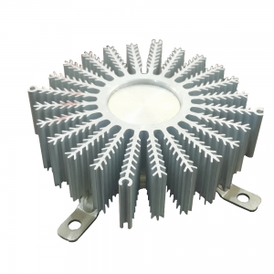 OEM/ODM Extruded Aluminum Heat Sink