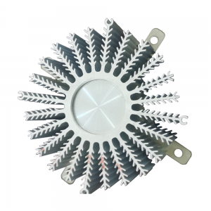 OEM/ODM Extruded Aluminum Heat Sink